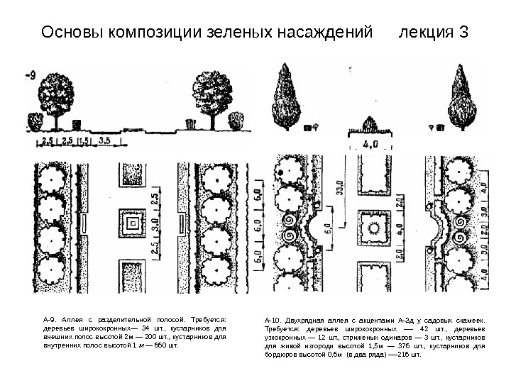 Размещение зеленых насаждений. Схема посадки деревьев и кустарников. Схема посадки садозащитных насаждений. Схема древесно кустарниковых насаждений. Схема посадки древесно-кустарниковых.