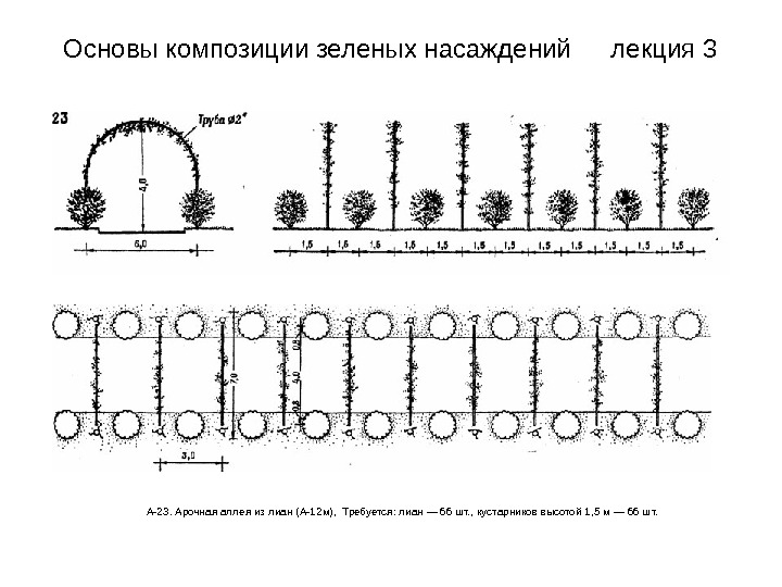 Схемы аллей. Основы композиции насаждений. Основные принципы композиции зеленых насаждений. М.И.Черкасов "композиции зеленых насаждений".. Композиции аллей схема.