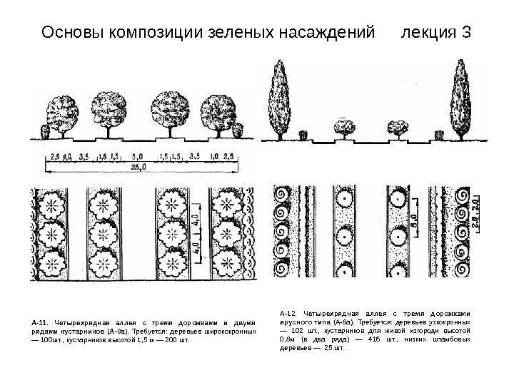 Схема зеленых насаждений. Схема посадки зеленых насаждений. Схема посадки деревьев на аллее. Шумозащитные посадки зеленых насаждений. Схема посадки лесных насаждений.