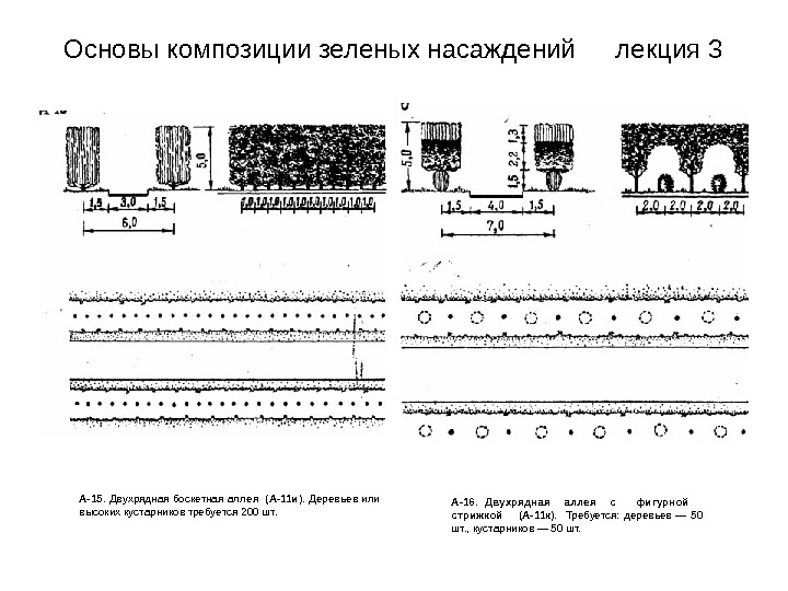 Двухрядная посадка картофеля схема