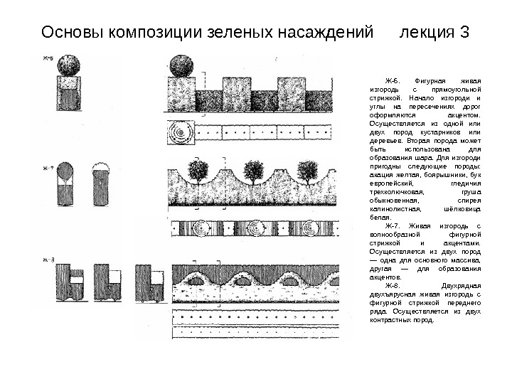 Живая изгородь вид сверху чертеж