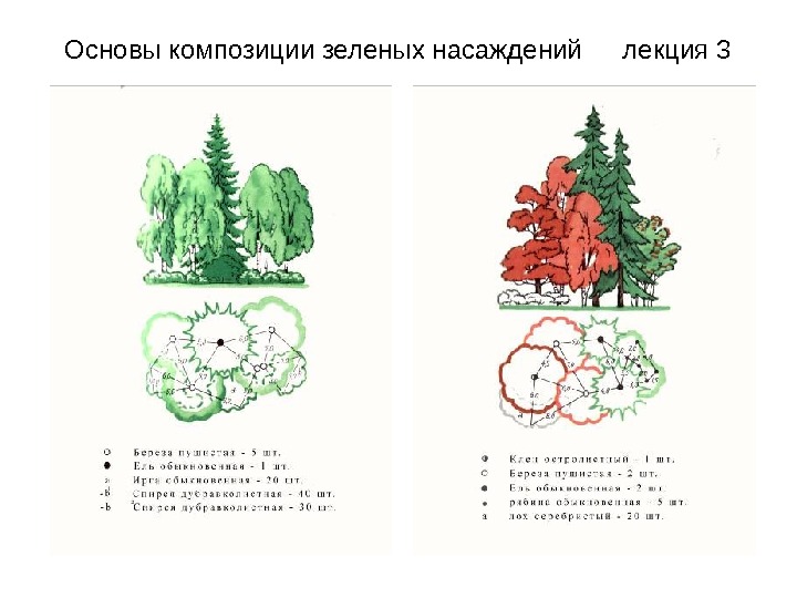 Три группы деревьев. Черкасов композиции зеленых насаждений. Композиция древесно кустарниковых насаждений рисунок. Основы композиции зеленых насаждений. Композиционное построение зеленых насаждений.