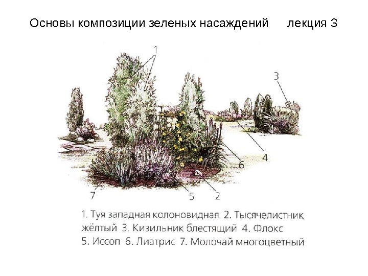 Данные о составе зеленых насаждений лесопарка представлены на диаграмме используя