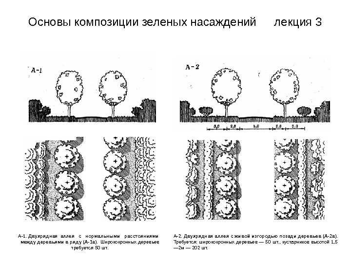 Рядовая схема посева