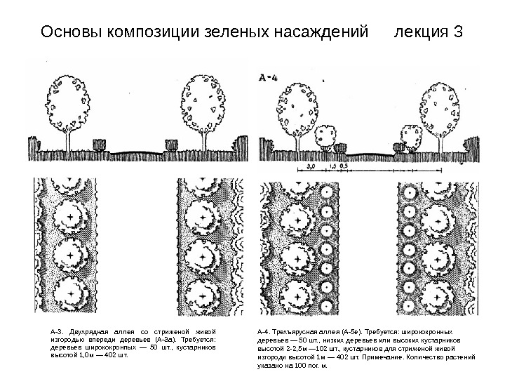 Живая изгородь из разных кустарников схемы