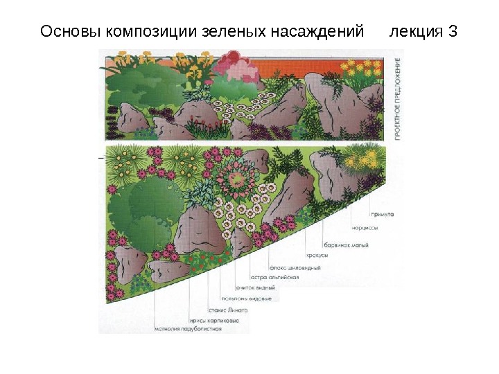 Схема зеленых насаждений. Композиции зеленых насаждений. Основы композиции зеленых насаждений. Схема композиций зеленых насаждений. Картинки элементы композиции зеленых насаждений презентация.