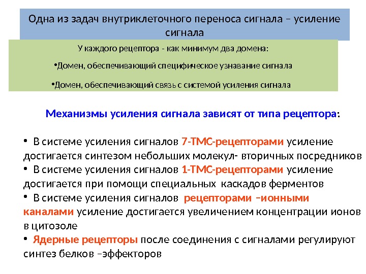 Механизм сигналов. Усиление сигнала на уровне рецептора. Механизм усиления сигнала. Ослабление или усиление сигнала. Усилительные механизмы.