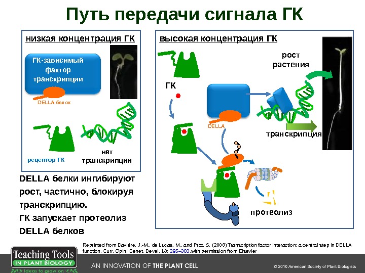 Низкая концентрация