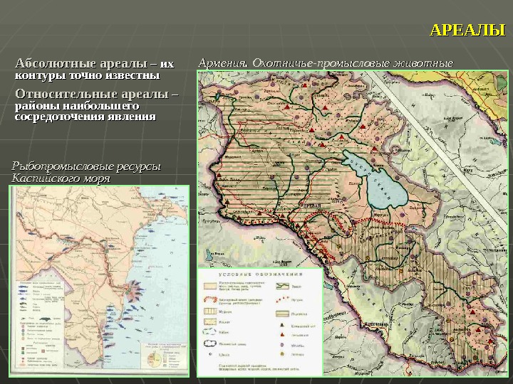 Относительный ареал. Абсолютные ареалы. Абсолютные и относительные ареалы. Относительные ареал. Абсолютные ареалы на карте.