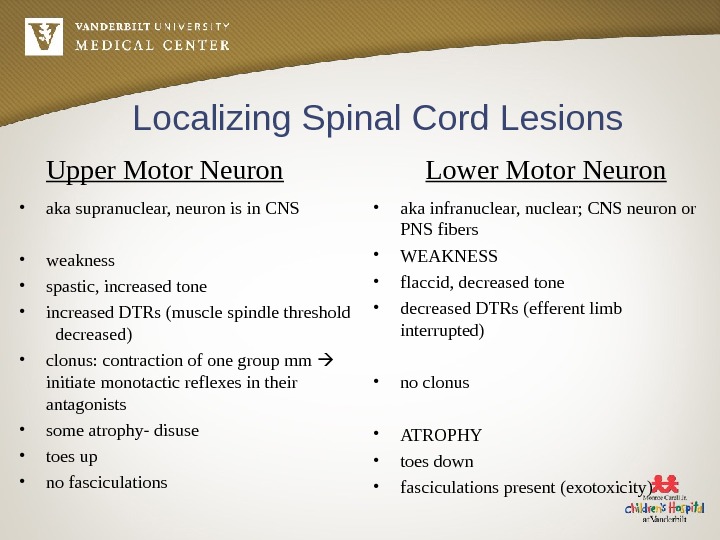 Spinal Cord Dysfunction Neurology Rotation Lecture Series Last