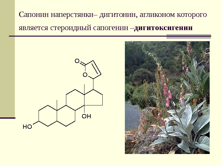 Стероидные сапонины. Пентациклические сапонины. Стероидные сапонины формула. Тритерпеновые сапонины. Гликозиды сапонины.