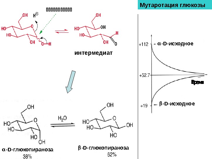 Мутаротация фруктозы схема