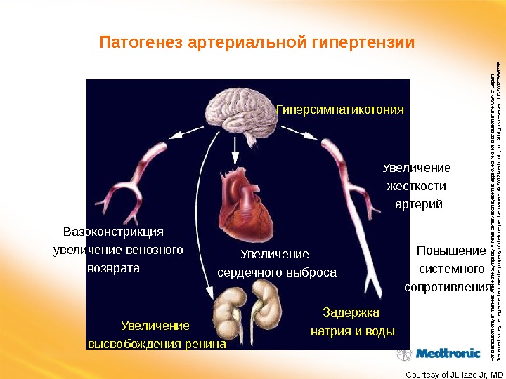 Патогенез артериальной гипертензии