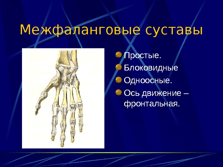 Межфаланговый латынь