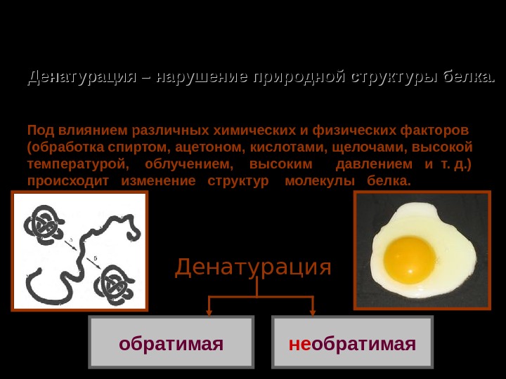 Влияние белков. Физические и химические факторы денатурации белка. Денатурация нарушение природной структуры белка. Факторы денатурации.