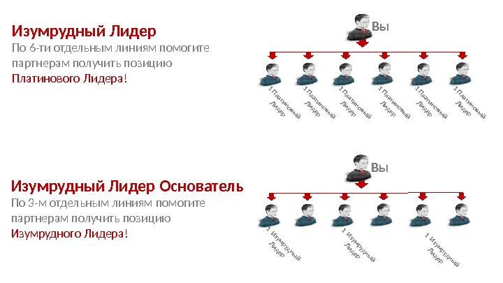 Получить позиция. Изумрудный Лидер основатель. Изумрудный Лидер. Что значит платиновый Лидер.