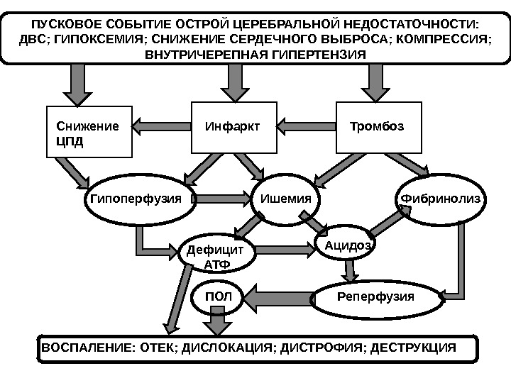 Острая церебральная недостаточность презентация