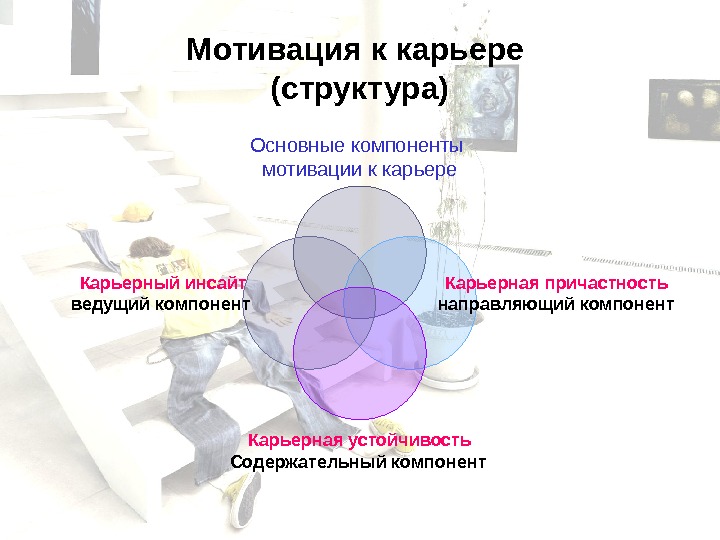 Структура карьеры