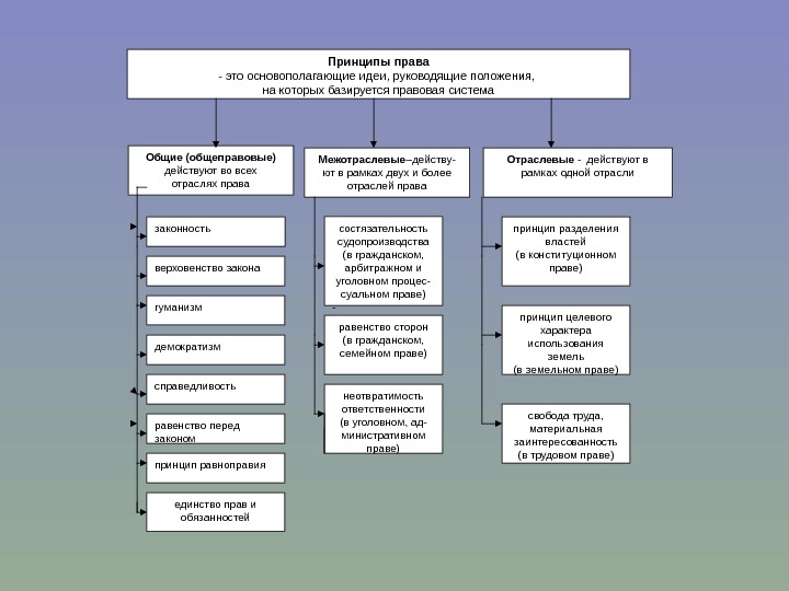Государственно правовые принципы. Классификация принципов права. Общие принципы права схема. Классификация принципов трудового права. Принципы системы российского права.