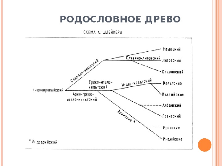 Август шлейхер презентация