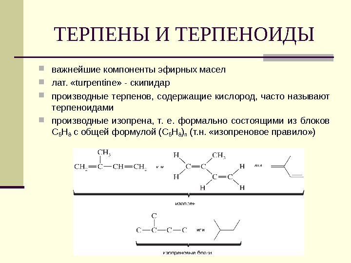 Презентация на тему терпены