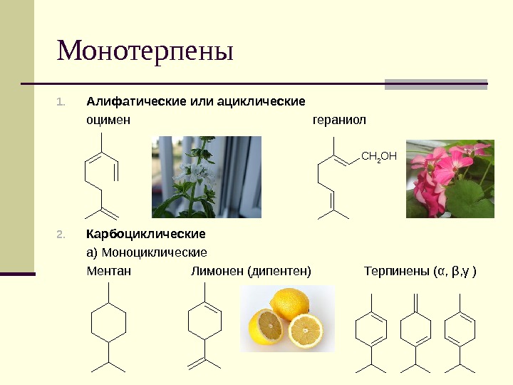 Презентация на тему терпеноиды