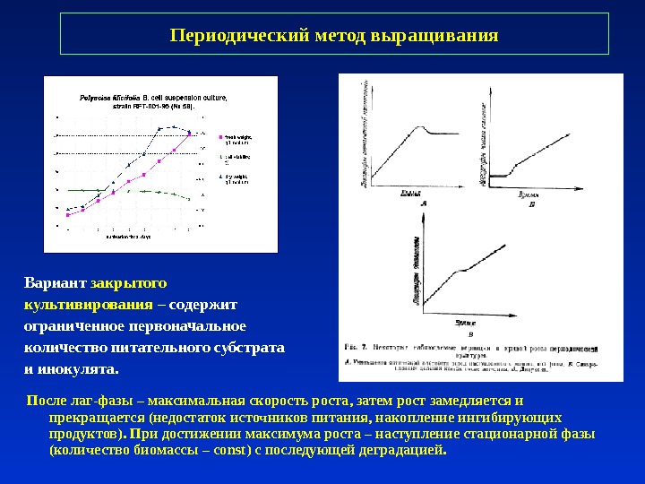 Скорость рос. Фазы роста при периодическом культивировании. Периодический метод культивирования. Скорость роста микроорганизмов периодическое культивирование. Максимальная Удельная скорость роста микроорганизмов таблица.