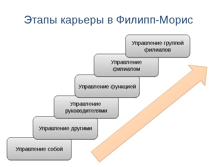 Этапы карьеры презентация