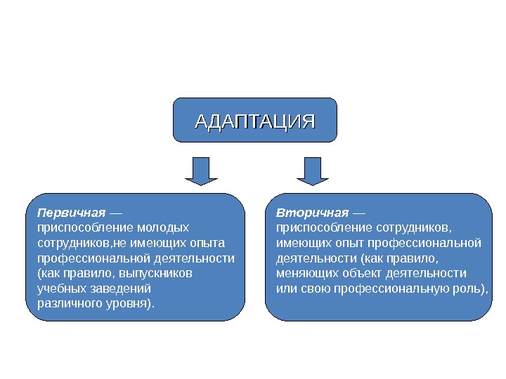 Виды адаптаций схема