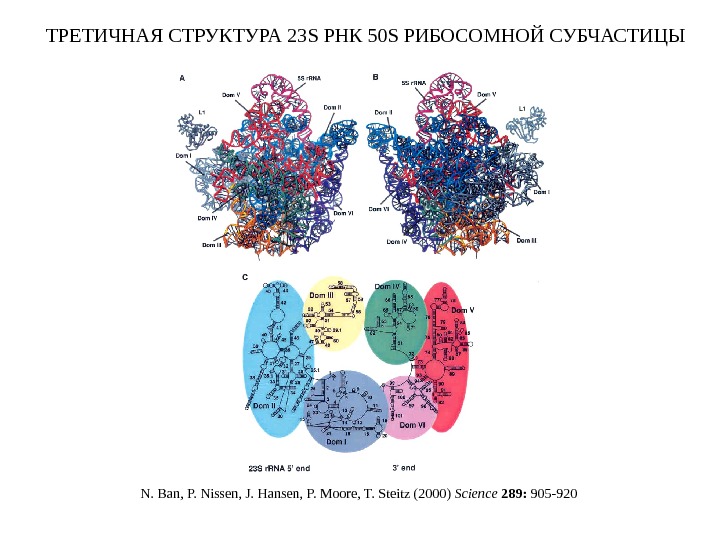 Структура 30