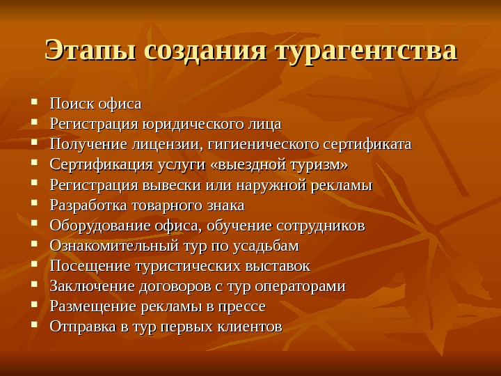 Презентация бизнес план турфирмы