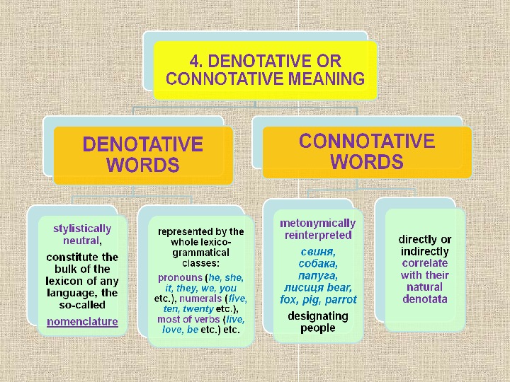 TYPOLOGY OF LEXICAL SYSTEMS in ENGLISH and UKRAINIAN