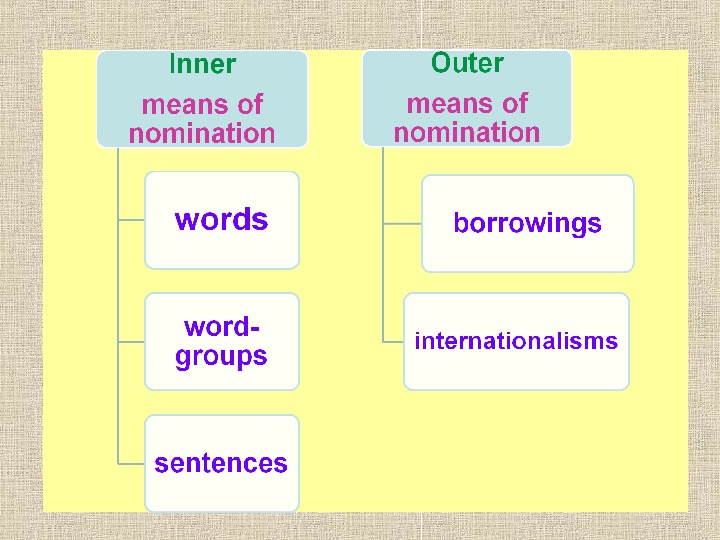 TYPOLOGY OF LEXICAL SYSTEMS in ENGLISH and UKRAINIAN