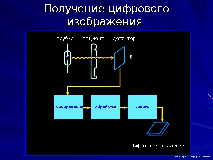 Процесс Получение Цифровых Фотографий