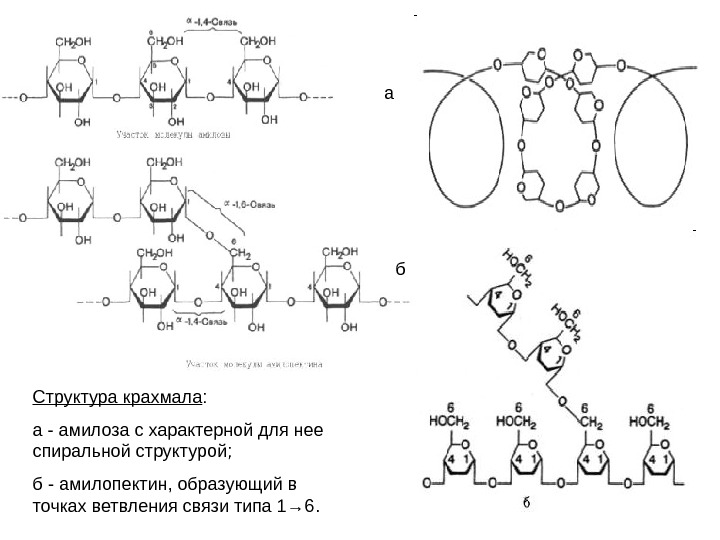 Схема строения крахмала
