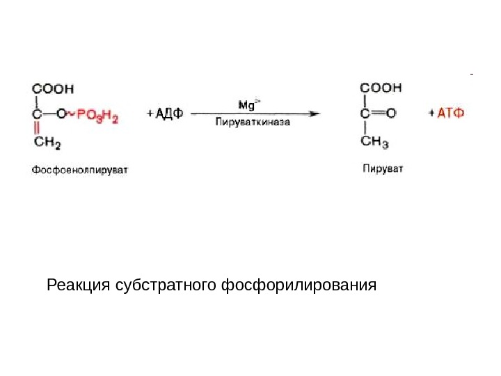 Пути фосфорилирования атф. 1 Реакция субстратного фосфорилирования гликолиз. Субстратное фосфорилирование в гликолизе. Пути синтеза АТФ субстратное фосфорилирование. Реакции субстратного фосфорилирования в гликолизе.