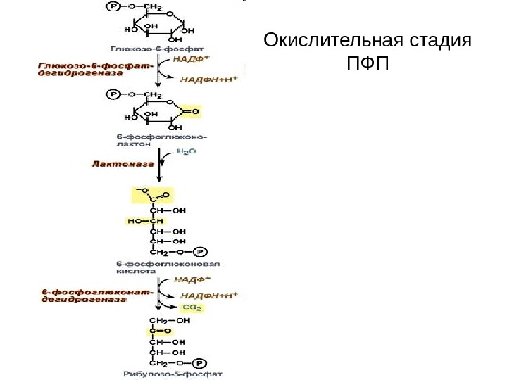 Пфп с схема