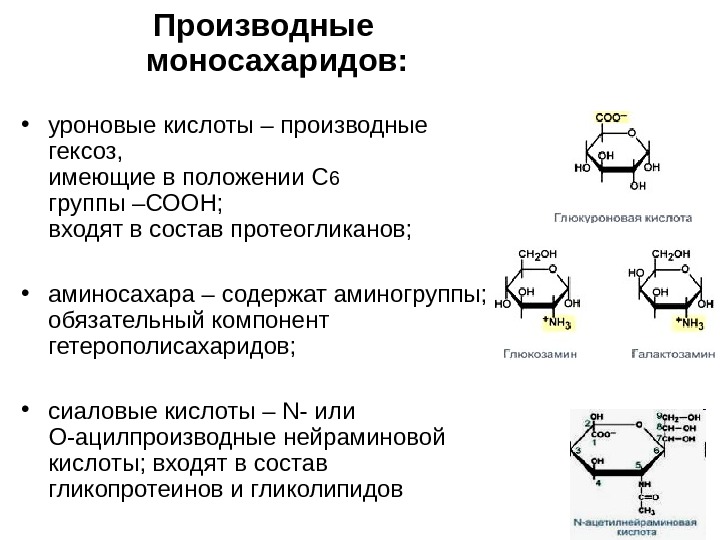 Моносахариды в животных клетках