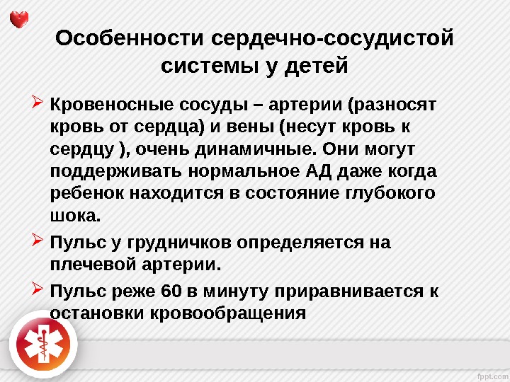 Возрастные особенности развития сердечно сосудистой системы презентация