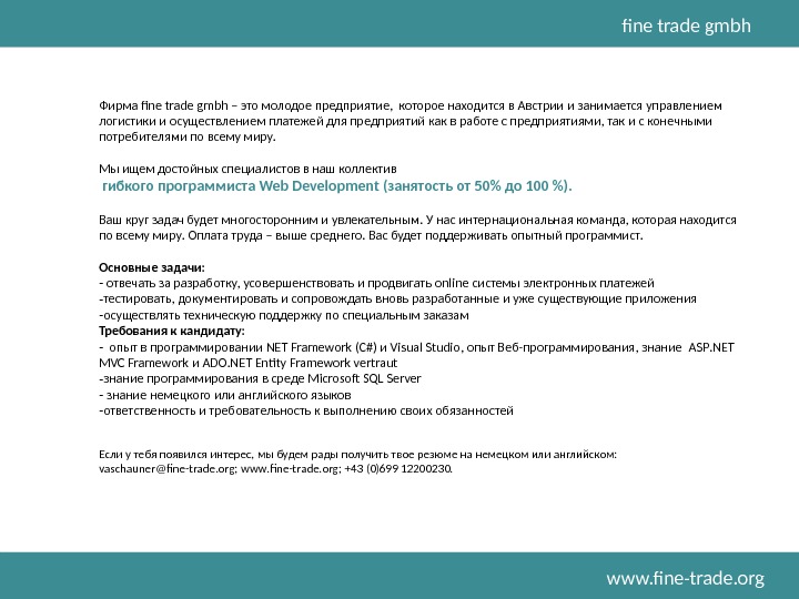 Презентация веб разработчик