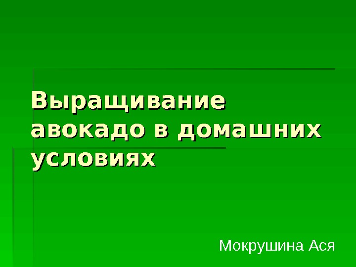 Выращивание авокадо презентация