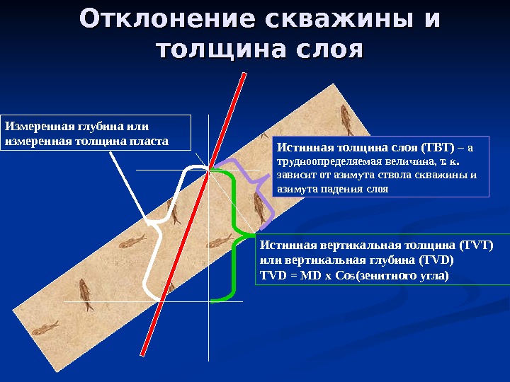 Толщина глубина. Истинная мощность пласта. Вертикальная мощность пласта. Истинная и вертикальная мощность пласта. Угол отклонения скважины.