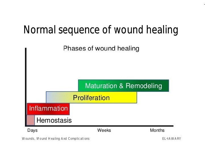 Презентация wounds. wounds healing amp complications