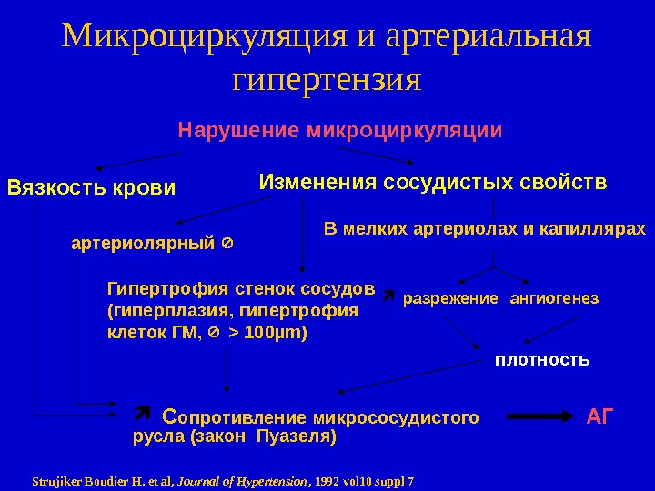 Антитромботические свойства сосудистой стенки