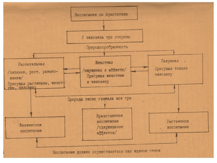 Периоды воспитания