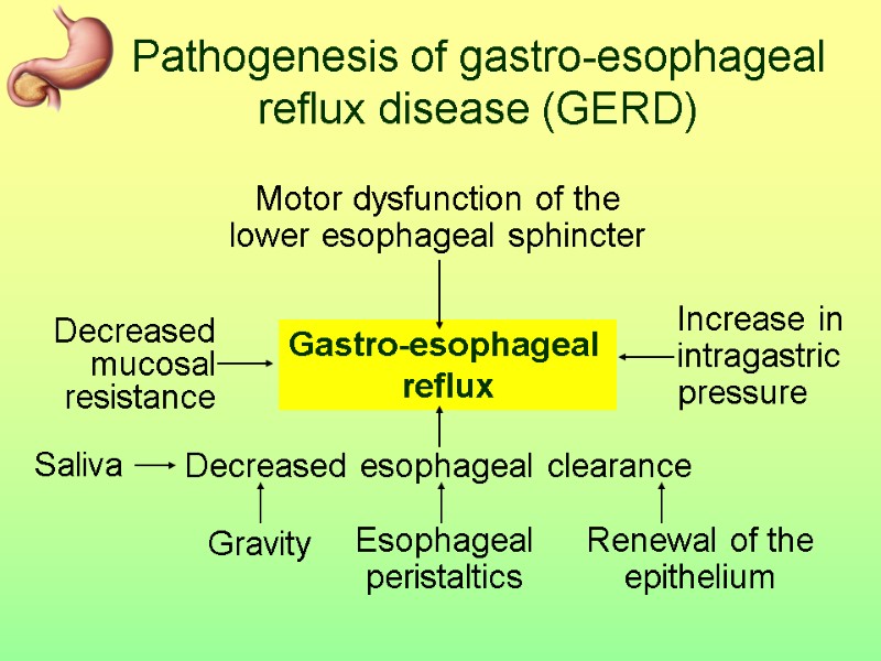 Pathophysiology of gastro-intestinal tract Gastro-intestinal tract ...