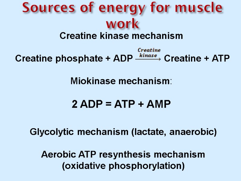 BIOCHEMISTRY OF EXTRACELLULAR MATRIX Collagen structure Proline and