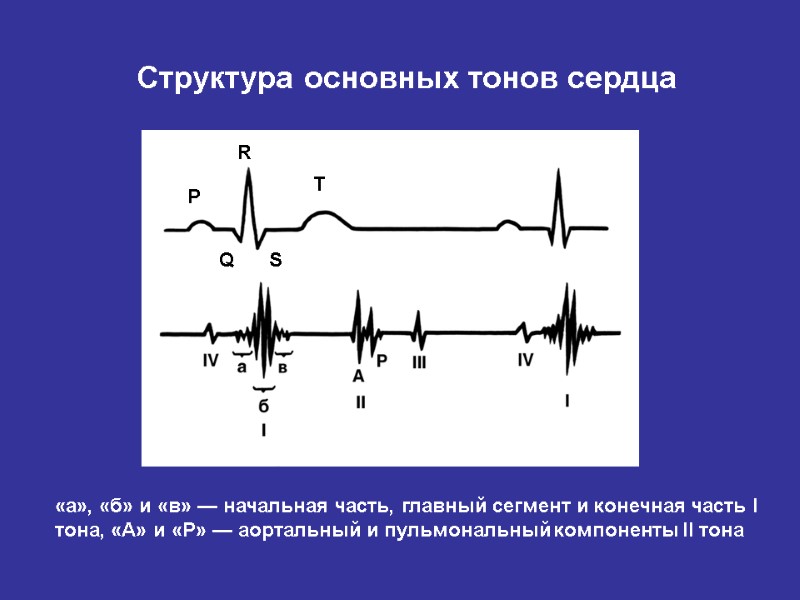 Тоны сердца. Компоненты 2 тона сердца. Патологический 3 тон сердца. Компоненты 1 тона сердца. Патологические тоны сердца.