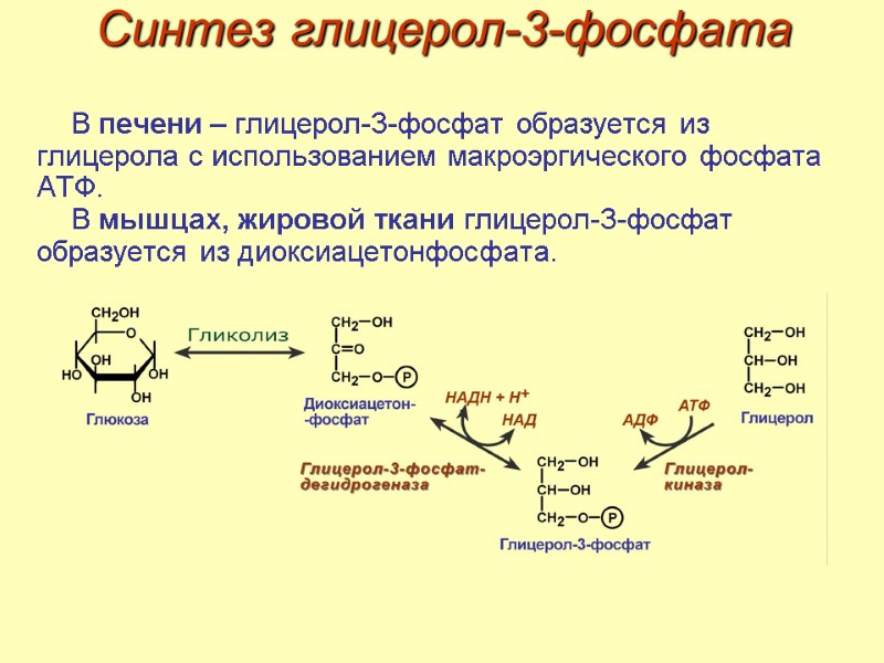 Синтез таг