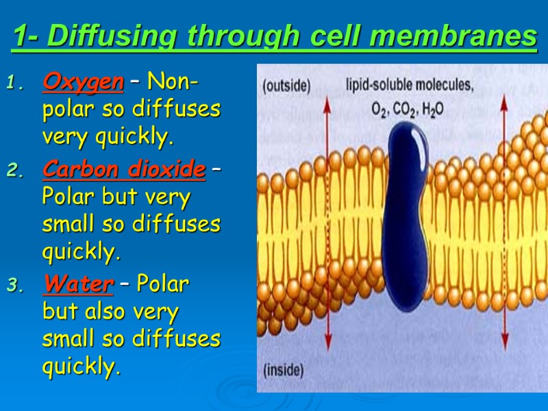 The Transport of Materials Across the Cell membrane